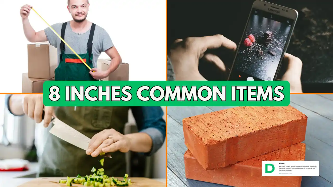 8 Inches Long Items