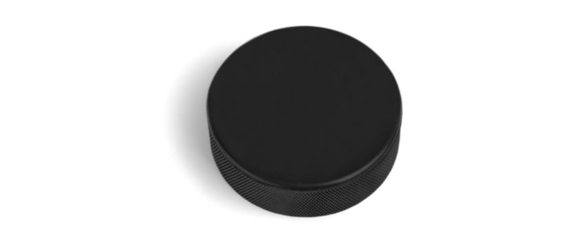 Hockey Puck