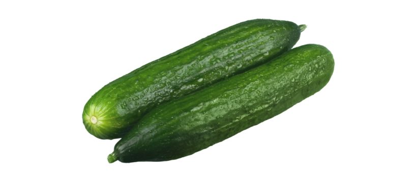 Two Burpless Cucumbers