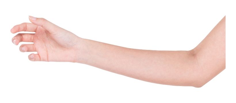 The Average Adult’s Arm Span