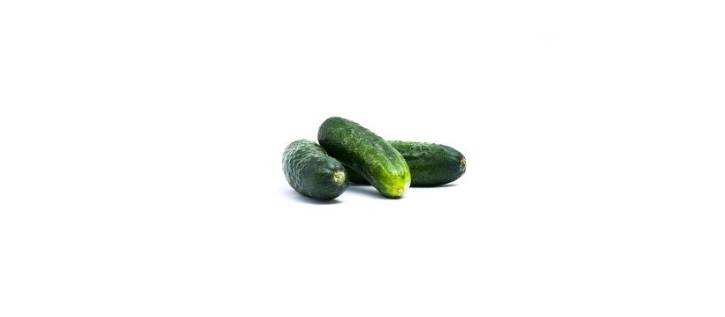 Three Burpless Cucumbers