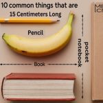 9 Everyday Things That are 15 Centimeters Long