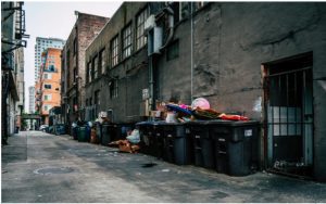 Dumpster Rental