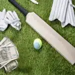 Online Cricket