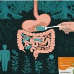 Top Benefits of Taking Prebiotics and Probiotics Daily