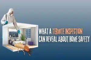 Termite Inspection