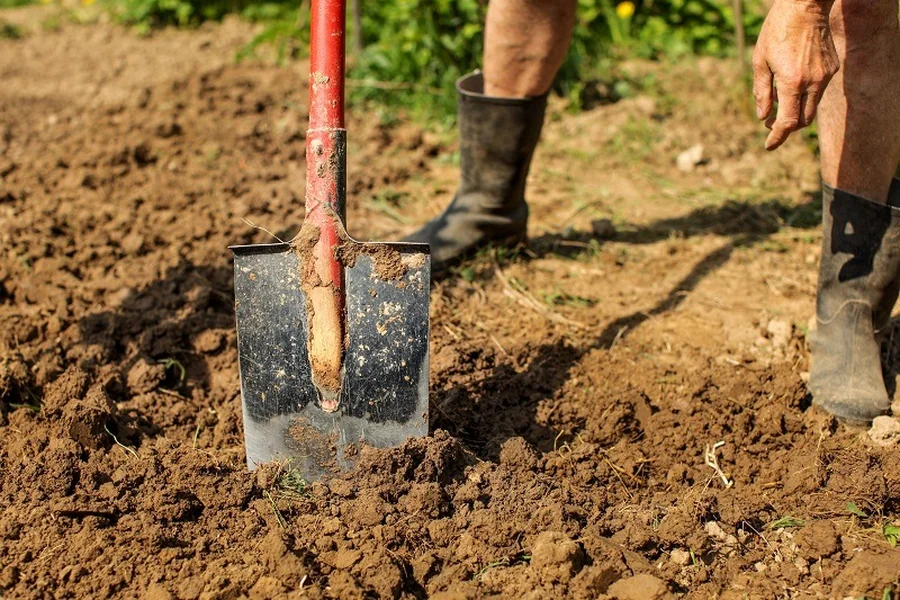 Soil Types and Foundation Impact