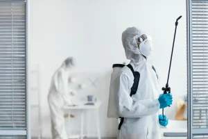 Why Local Mosquito Control Services Matter More Than You Think