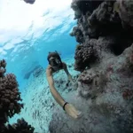 Inspiring Video Concepts