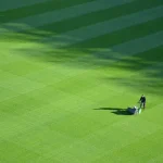 How Royal Lawn Fertilization & Weed Control Keeps Lawns Green And Clean How Royal Lawn Fertilization & Weed Control Keeps Lawns Green And Clean