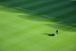 How Royal Lawn Fertilization & Weed Control Keeps Lawns Green And Clean