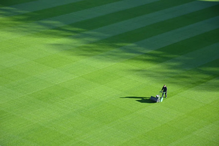 How Royal Lawn Fertilization & Weed Control Keeps Lawns Green And Clean