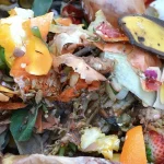 What Happens When You Stop Throwing Food Scraps in the Trash
