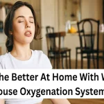 Breathe Better At Home With Whole House Oxygenation Systems House Oxygenation Systems