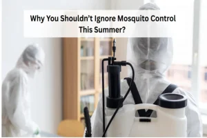 Ignore Mosquito Control