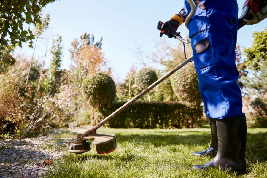 Consider Hiring Lawn Care Experts