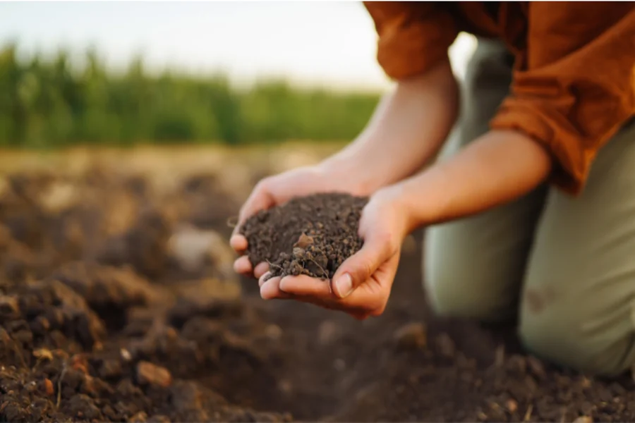 Fertilization and Weed Control