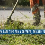 Lawn Care Tips For A Greener, Thicker Yard