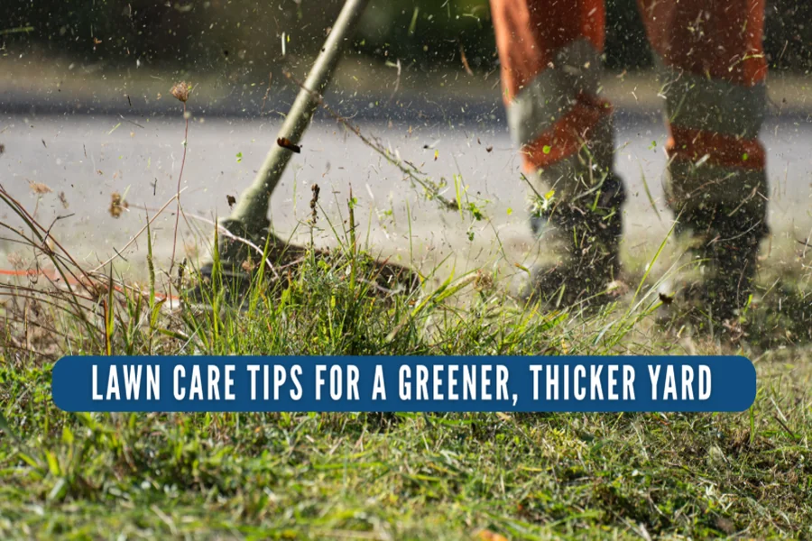 Lawn Care Tips For A Greener, Thicker Yard
