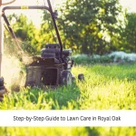 Step-by-Step Guide To Lawn Care in Royal Oak Lawn Care
