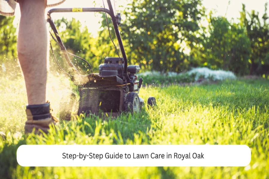 Lawn Care