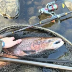 Travel Fishing Rod