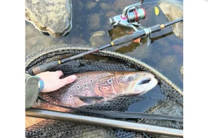 Travel Fishing Rod