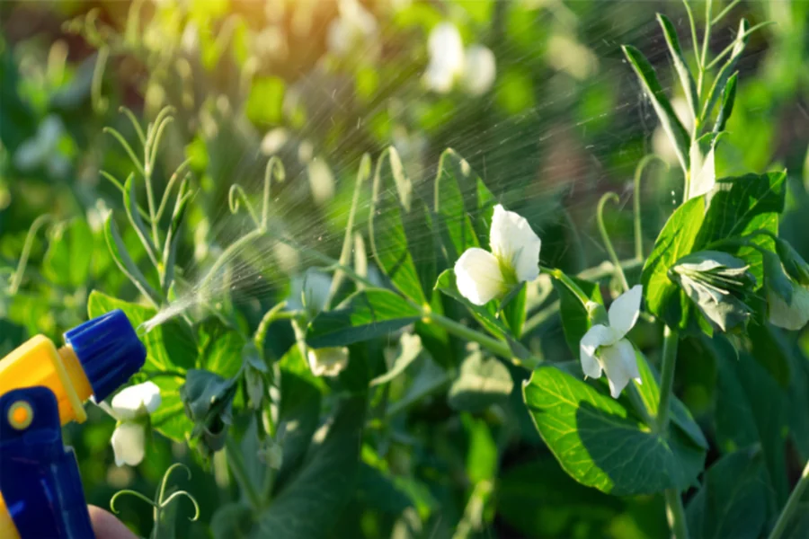 Watch for Pests and Diseases