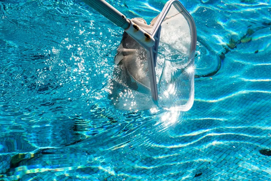 Pool Contractor