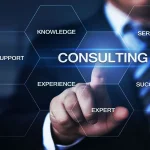 Top Rated PedroVazPaulo Business Consultant