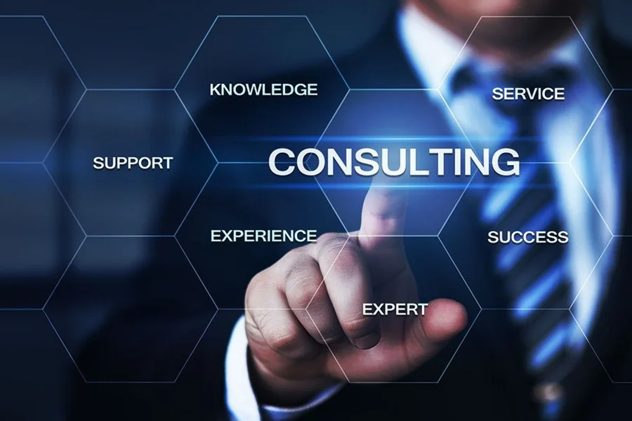 Top Rated PedroVazPaulo Business Consultant