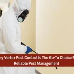 Why Vertex Pest Control Is The Go-To Choice For Reliable Pest Management
