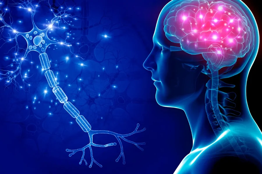 Transforms Daily Life