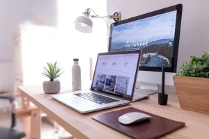 Online Fraud