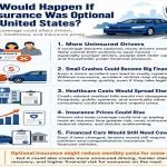 What Would Happen If Car Insurance Was Optional in the United States? Car Insurance