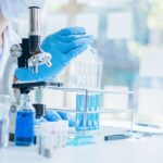 From Laboratory Discovery to Scientific Consensus: How Research Evolves
