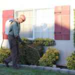 How Professional Pest Control Services Create A Healthier Living Environment How Professional Pest Control Services Create A Healthier Living Environment